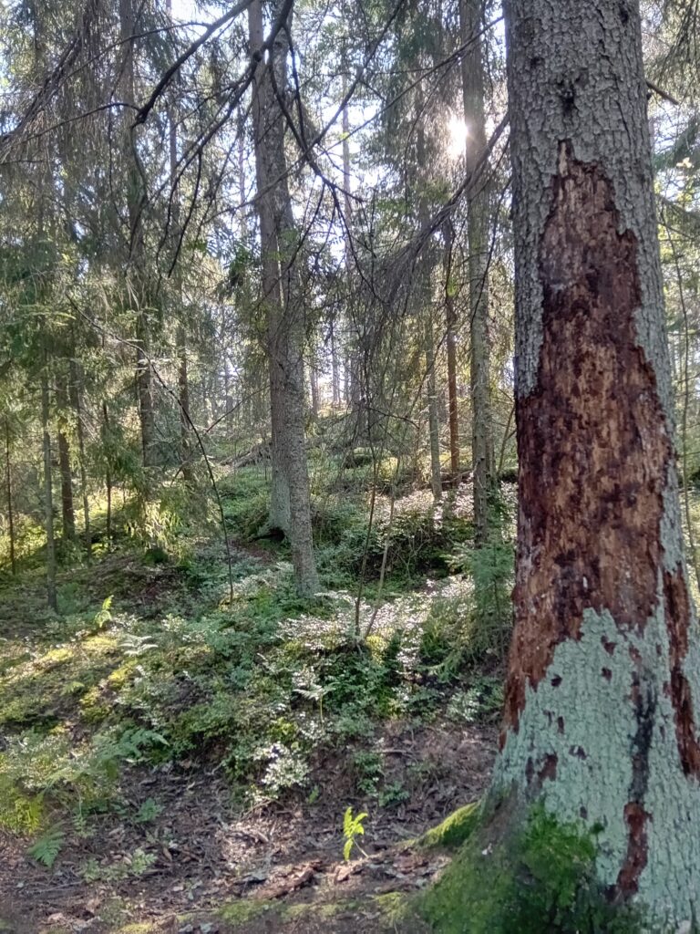 Kora őszi hangulat