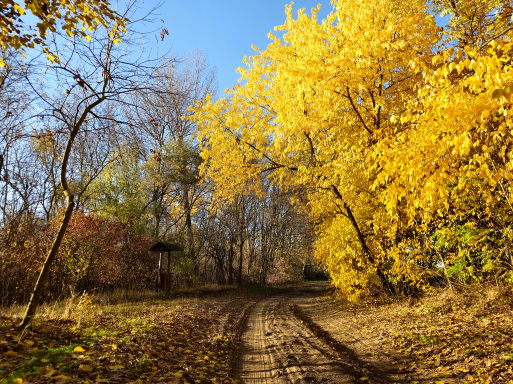 November