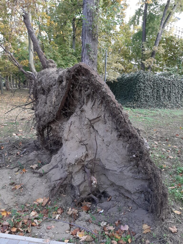 Mementó