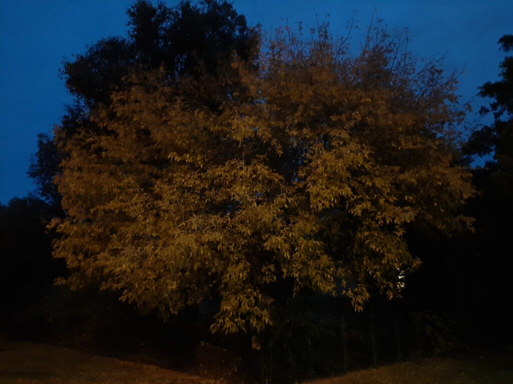 Október, reggel 7 óra