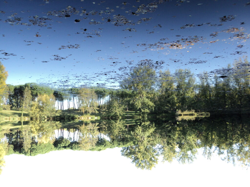 Verso