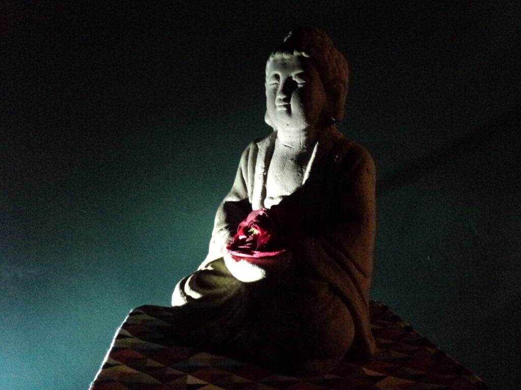 Buddha otthon