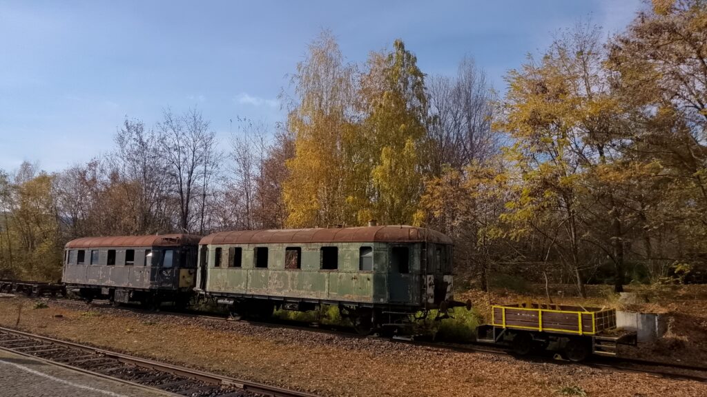 Őszi élet az élet őszén