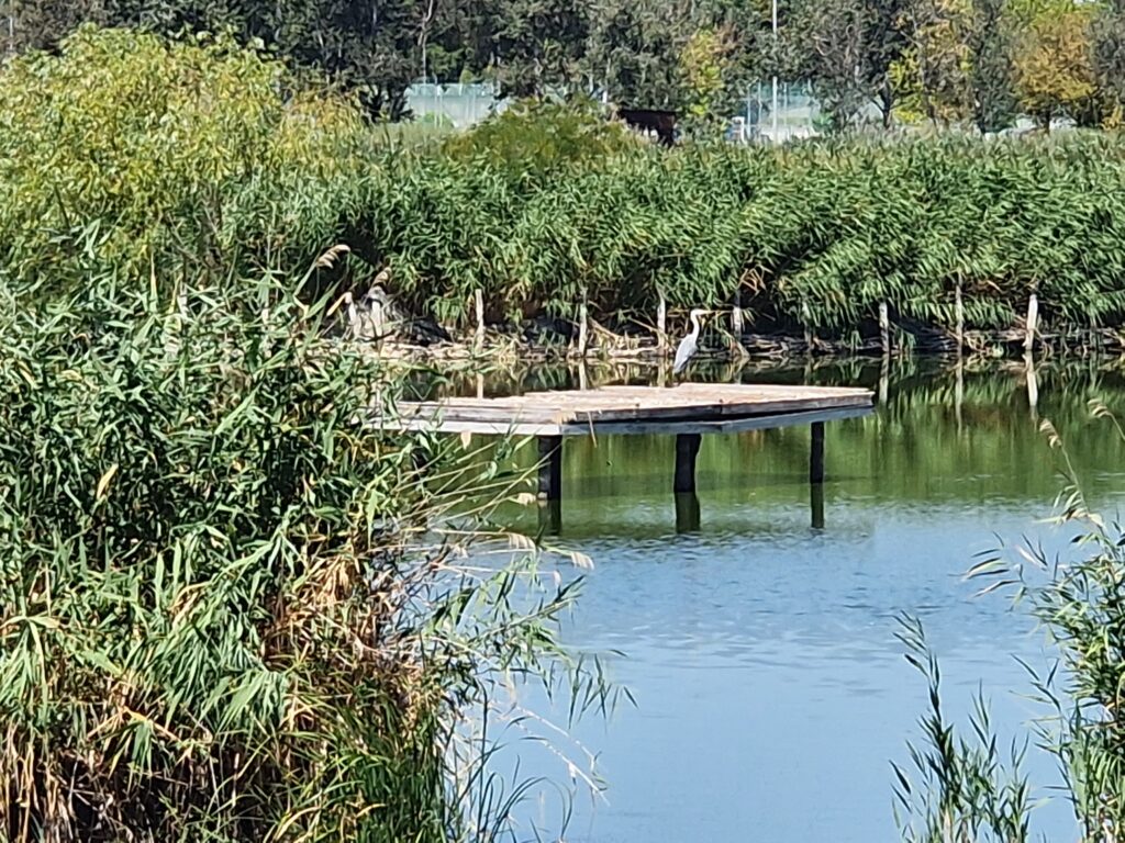 Jó itt a buli,