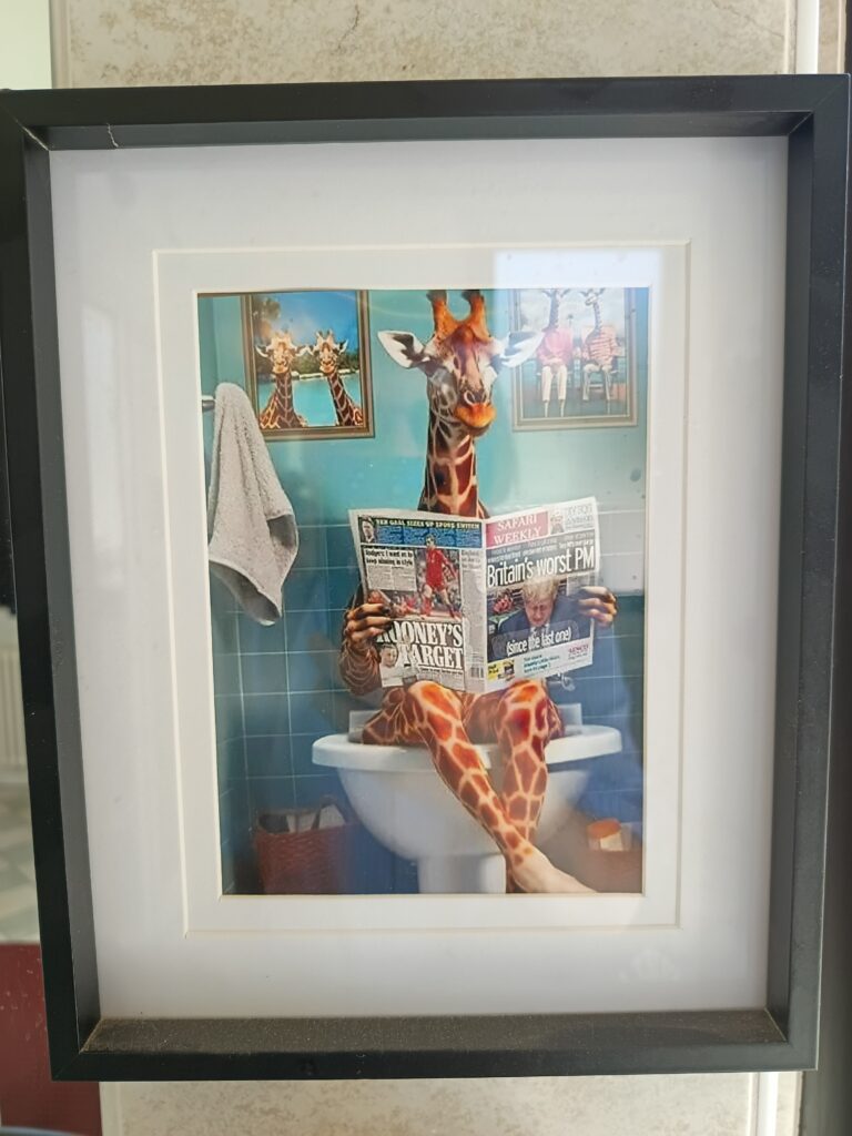 Óóó egy zsiráf